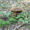 2013_07_26 24 fileminimizer